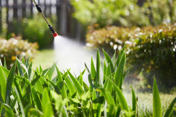 24/7 Emergency Pest Control experts in Minden, NE